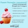 Первые деньги на тортиках. Пакет Капкейк с вишенкой (Татьяна Короткова)