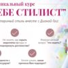 Сам себе стилист, 2017 (Диана Госс)