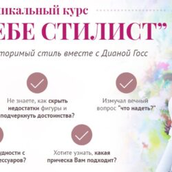 Сам себе стилист, 2017 (Диана Госс)