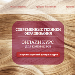 Современные техники окрашивания (Ольга Карди)