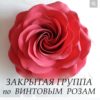 Комплект из 16 МК по винтовым розам ( Алина Шкабарина)