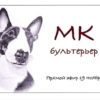 [Лепка] Бультерьер (Владлена Нестерова)
