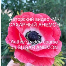 Видео МК Сахарный анемон (julija_2005)