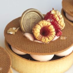 [Cake Pro] Малиновый Тарт (Александра Овешкова)