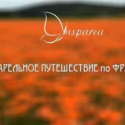 Виды Франции (Василий Герасимюк, Виталий Дець)