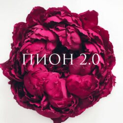 Выкройки для больших цветов на любой вкус (Анна Цветкова)