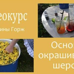 Основы окрашивания шерсти (Екатерина Горж)