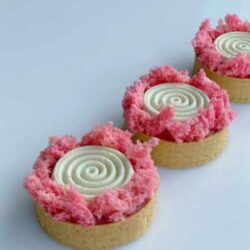 [Cake Pro] Видео урок и техкарта  "Тарт Клубника-Ваниль " (Александра Овешкова)