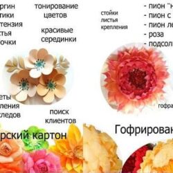 Большие цветы, ростовые цветы (Евгения Вавилова)