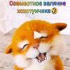 Совместное валяние хохотунчика ( feyaya1)
