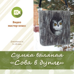 Сумка валяная "Сова в дупле" (Лариса Ермак)