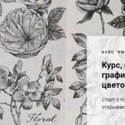 Рисуем линером  с Renne. 2 поток [Renne Studio]