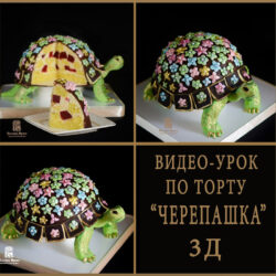 Торт Черепашка (Ирина Козлова)
