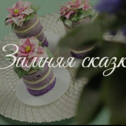 Торт «Зимняя сказка» (Надежда Карманцева)