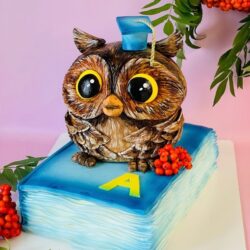 [anastasiya_bakery] 3D торт Совенок на книге (Анастасия Политыкина)